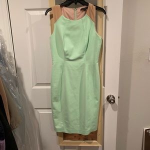 Antonio Melani Green and Nude Dress—NEW, Size 4.